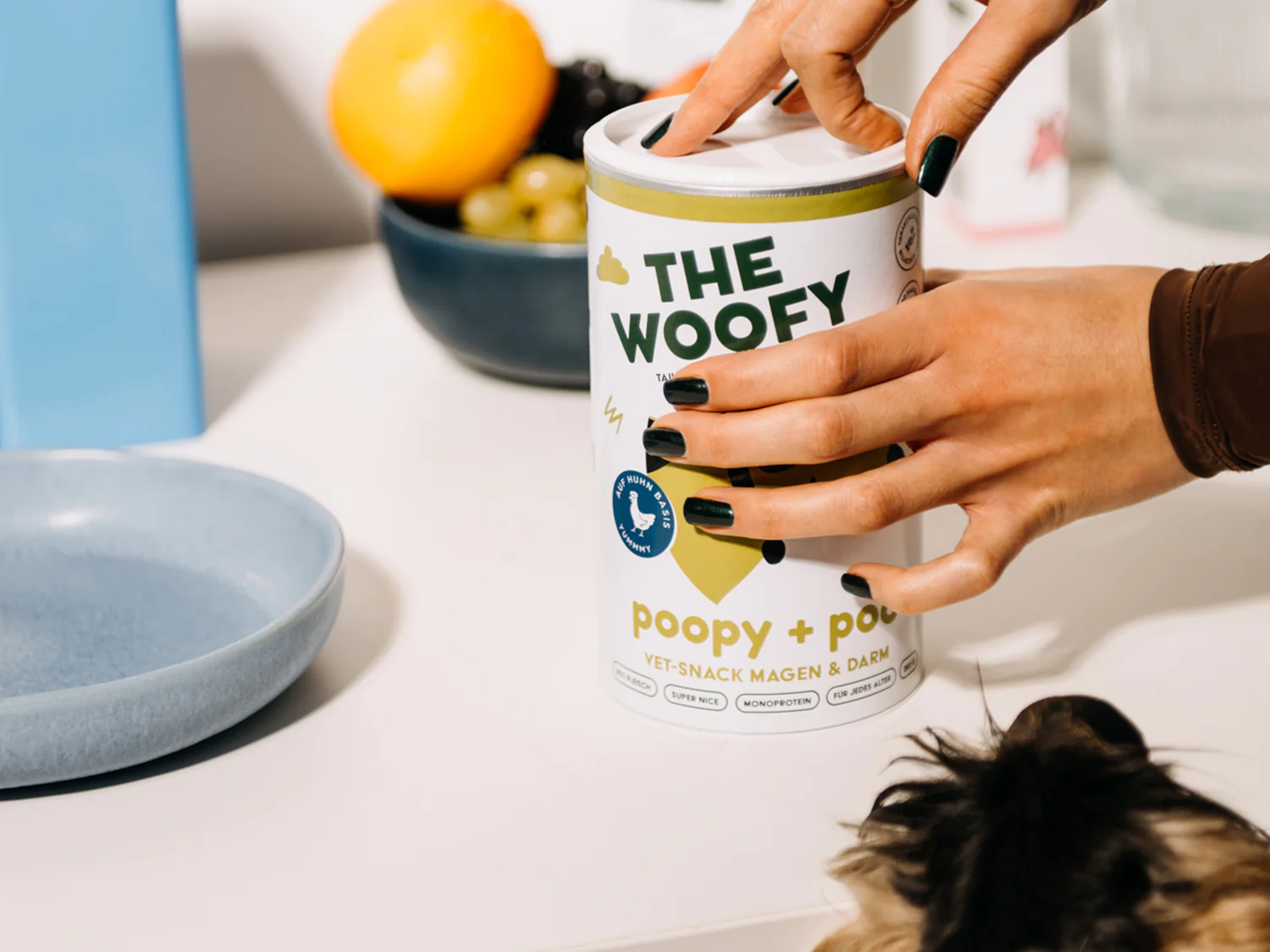 poopy_poo-opening-charly_7a8fb4d4-fddb-4297-a014-5ee7ce2b5d8f.png