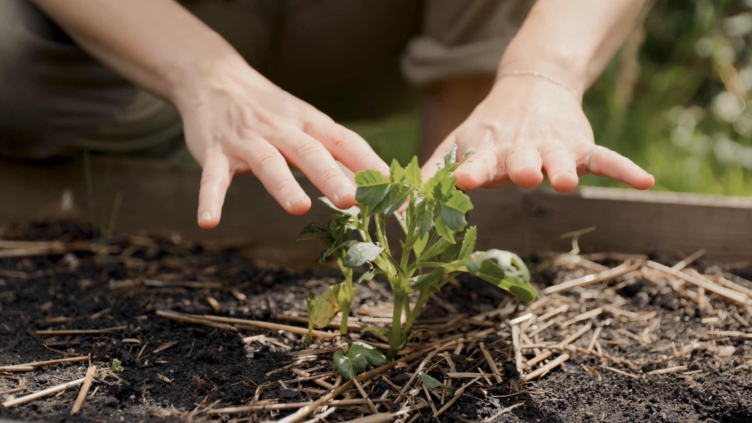 Screenshot 2026-04-13 at 13.16.34.png