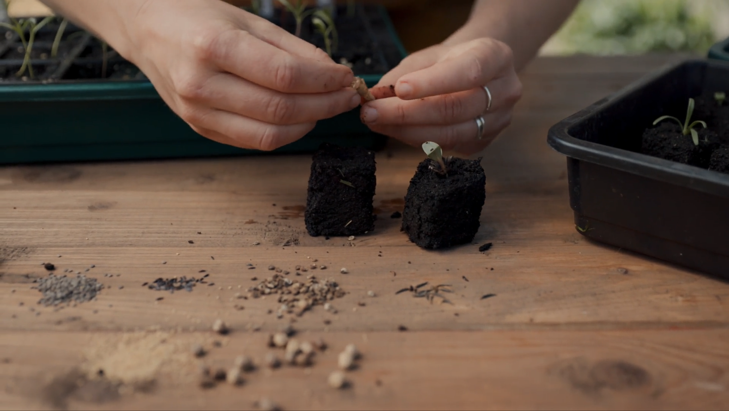 Screenshot 2026-04-13 at 13.15.13.png