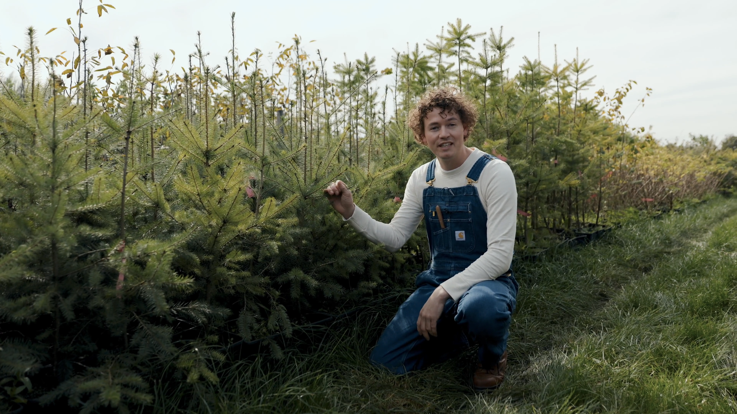 Screenshot 2026-04-13 at 13.11.48.png