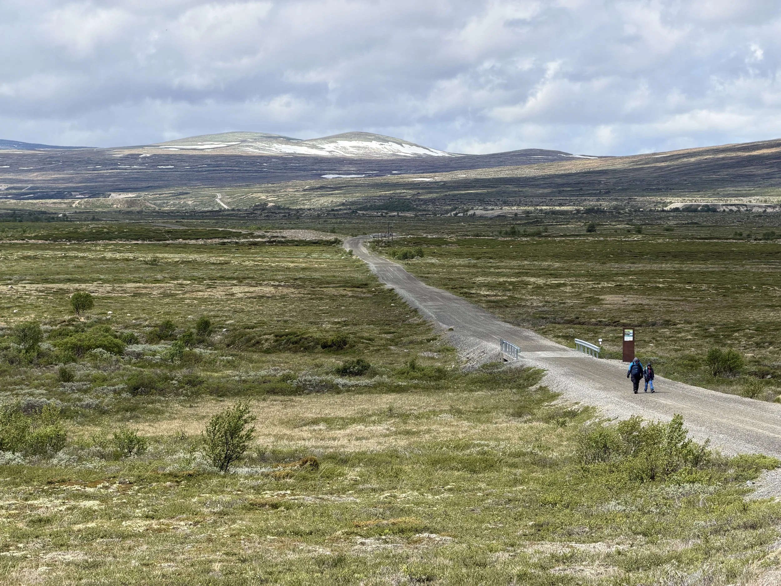 Musk Ox Safari in Dovrefjell