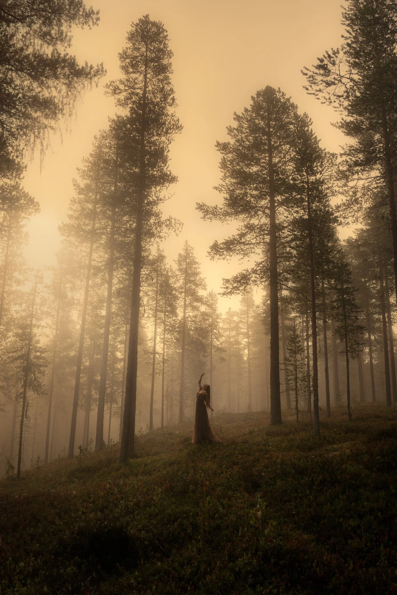 Fog_portrait_portraits-of-lapland 1.jpg
