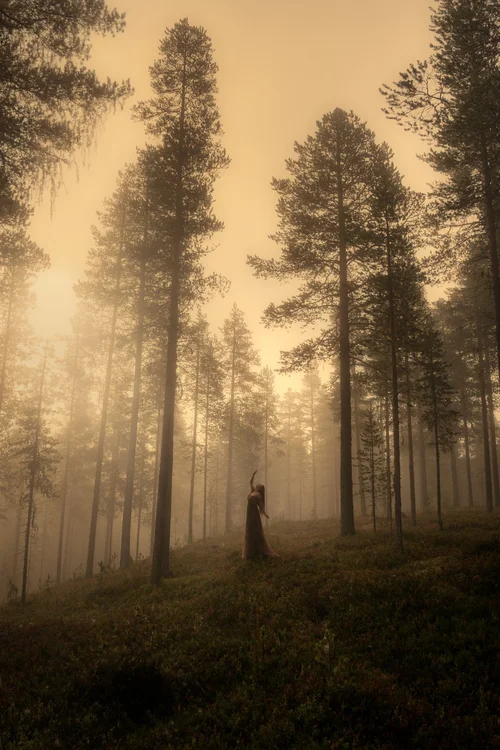 Fog_portrait_portraits-of-lapland 1.jpg