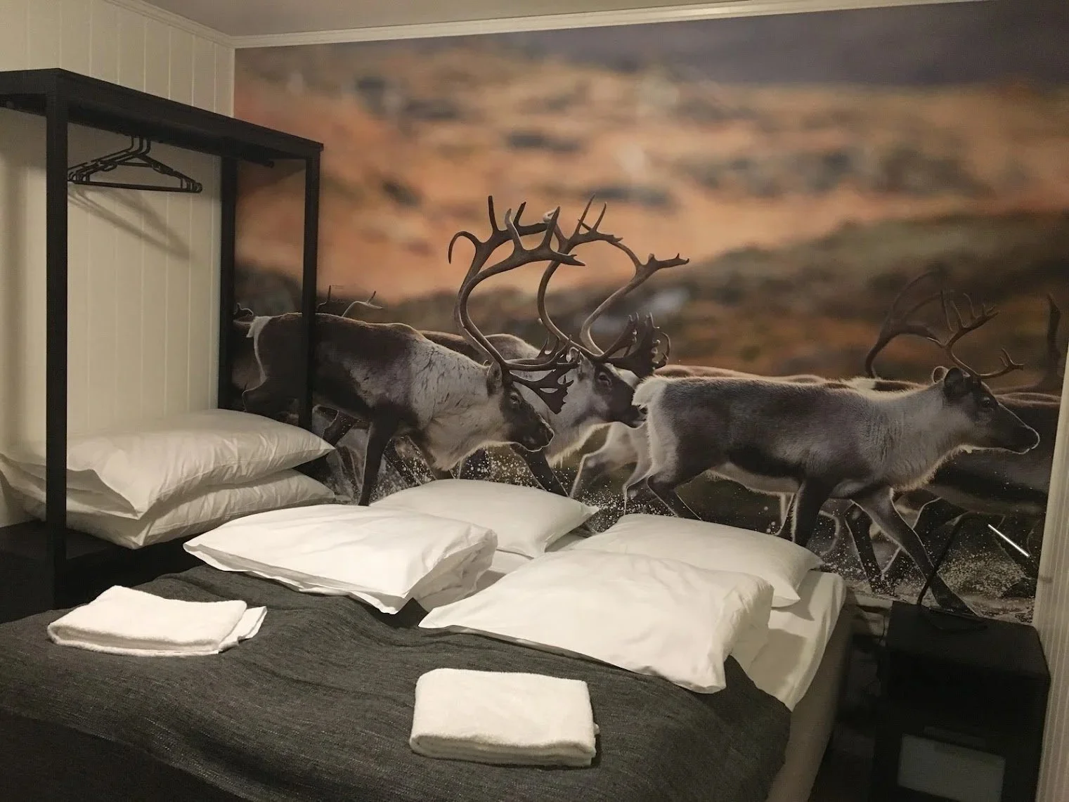 Cosy hotel room at Dovrefjell Lodge featuring a dramatic wild reindeer wall mural, Dovrefjell National Park Norway