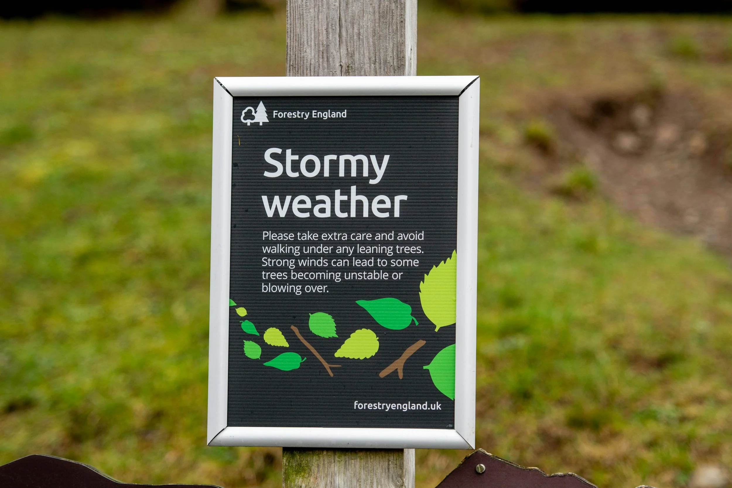 Forestry England stormy weather warning sign beside trees