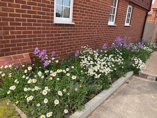 front-garden-sanctuary4.jpeg