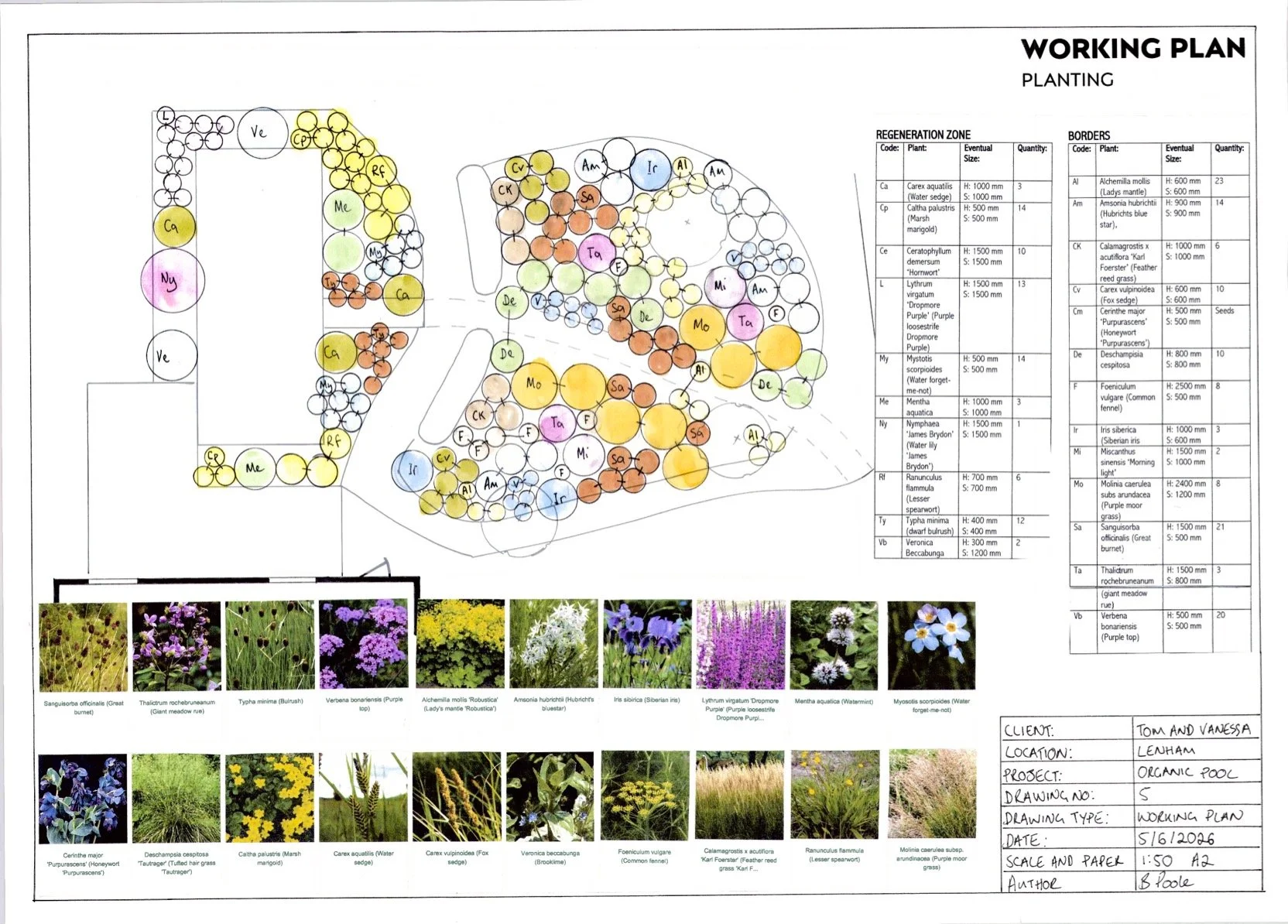 W.Farm Organic Pool Planting Plan.jpg