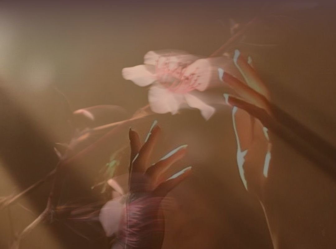 Gemischte Temple Night: Wenn deine Lebendigkeit aufblüht