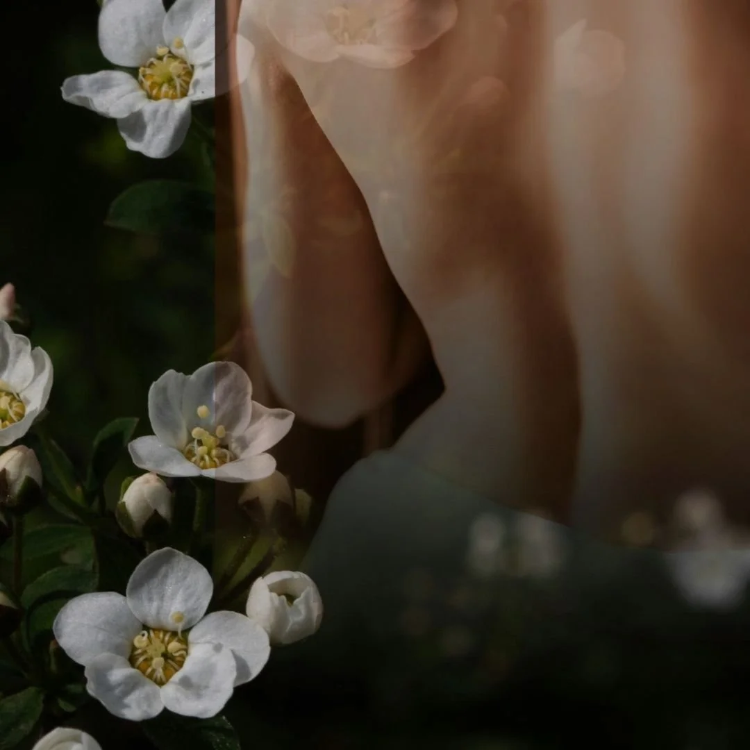 Frauentempel Night: Aufblühen