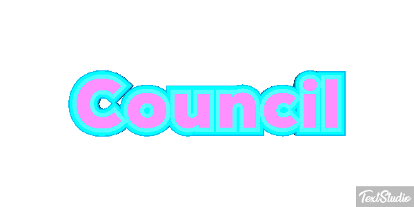 City Council Meeting