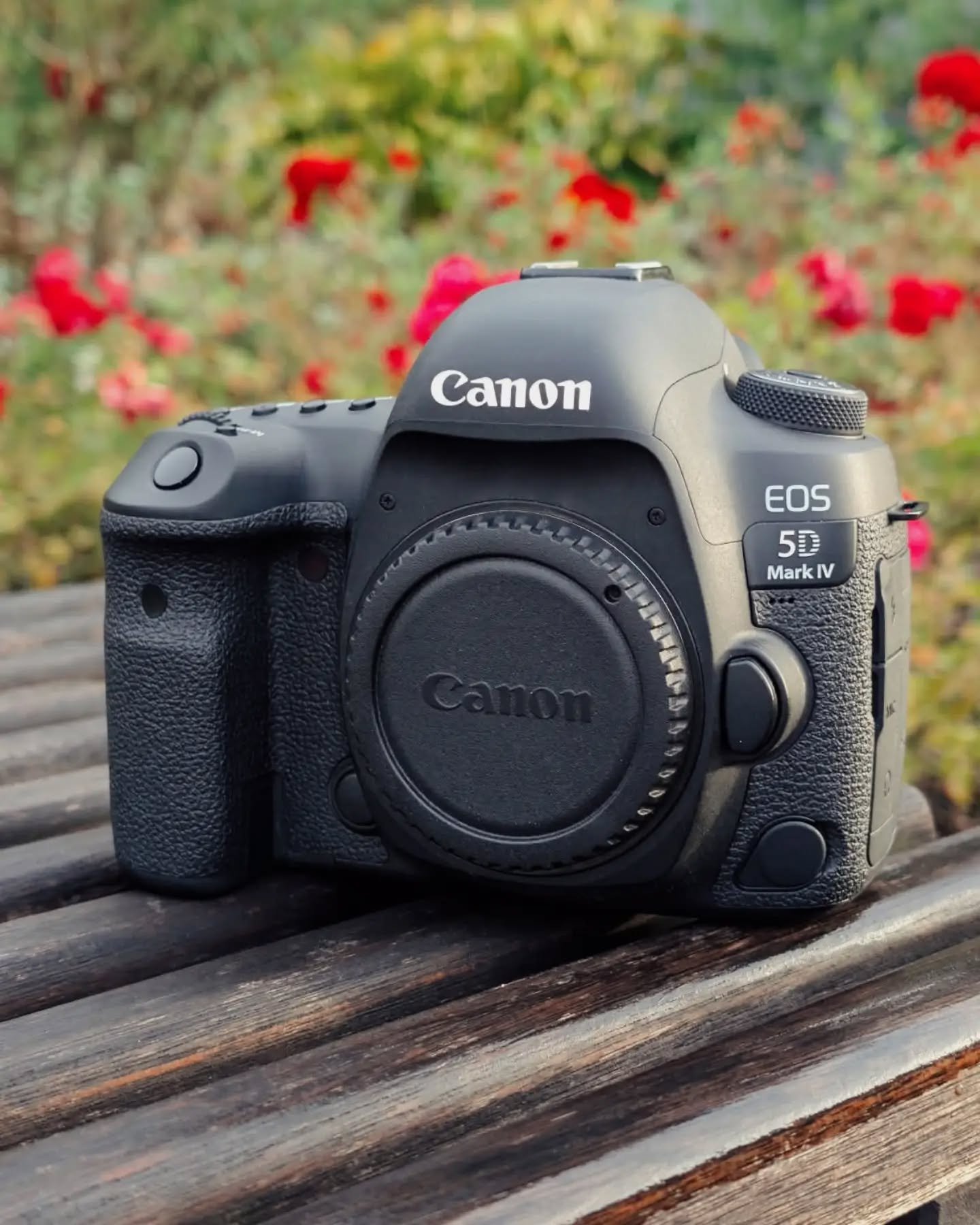 Canon EOS 5D Mark IV 

Ein Klassiker, der noch einiges vor sich hat! Diese hochwertige Vollformatkamera ist bereit f&uuml;r ein neues Kapitel &ndash; und vielleicht f&uuml;r deine n&auml;chste Fotogeschichte. 

✨ Gute Dinge haben Geschichten. 
