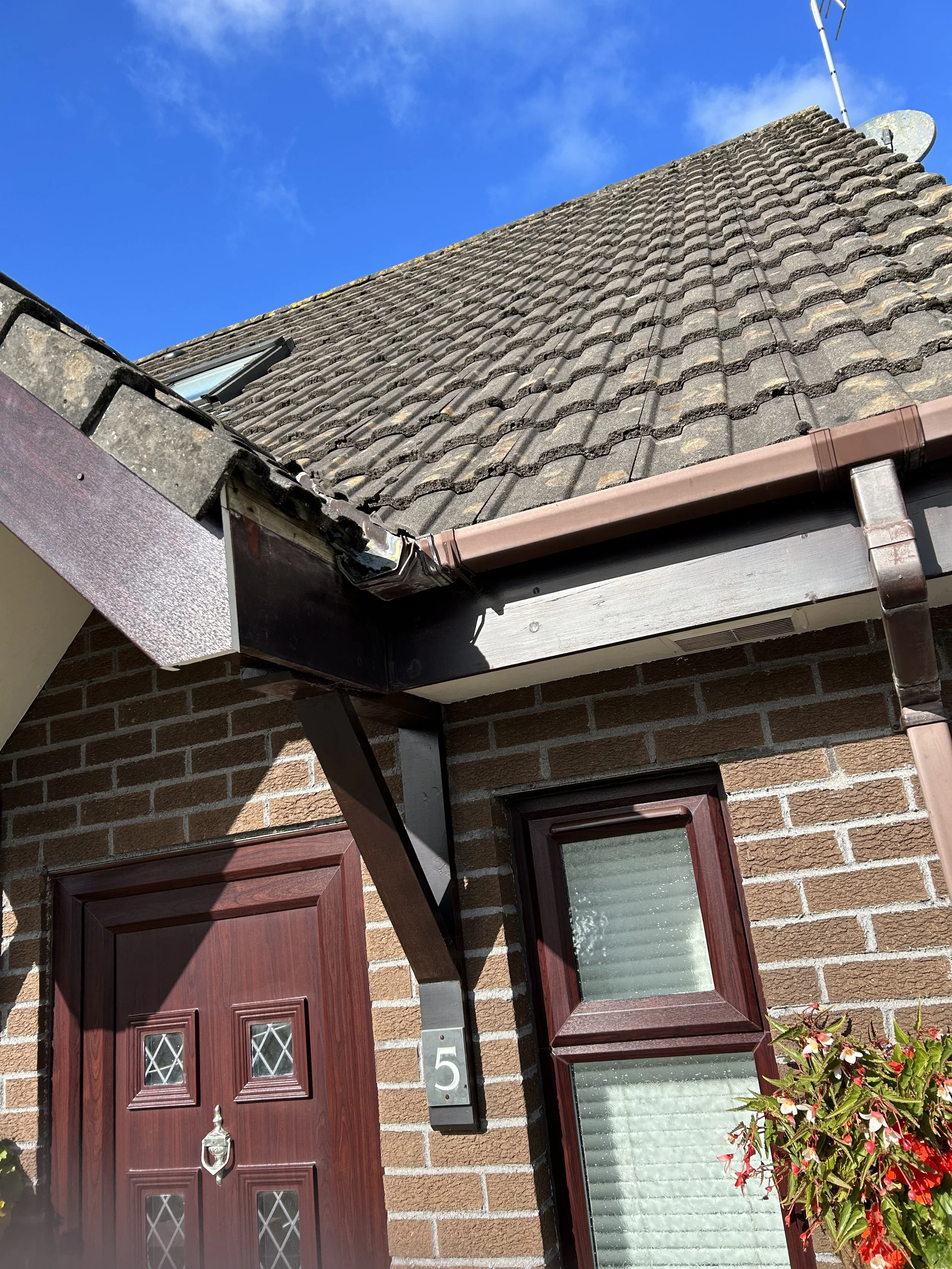 Fascias and soffits replacement Bideford