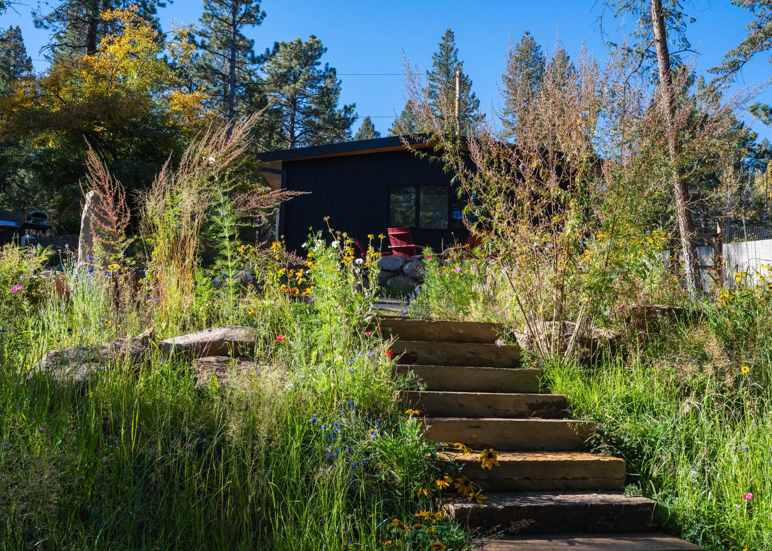 hillbuilders_dalpeshouse_21.jpg