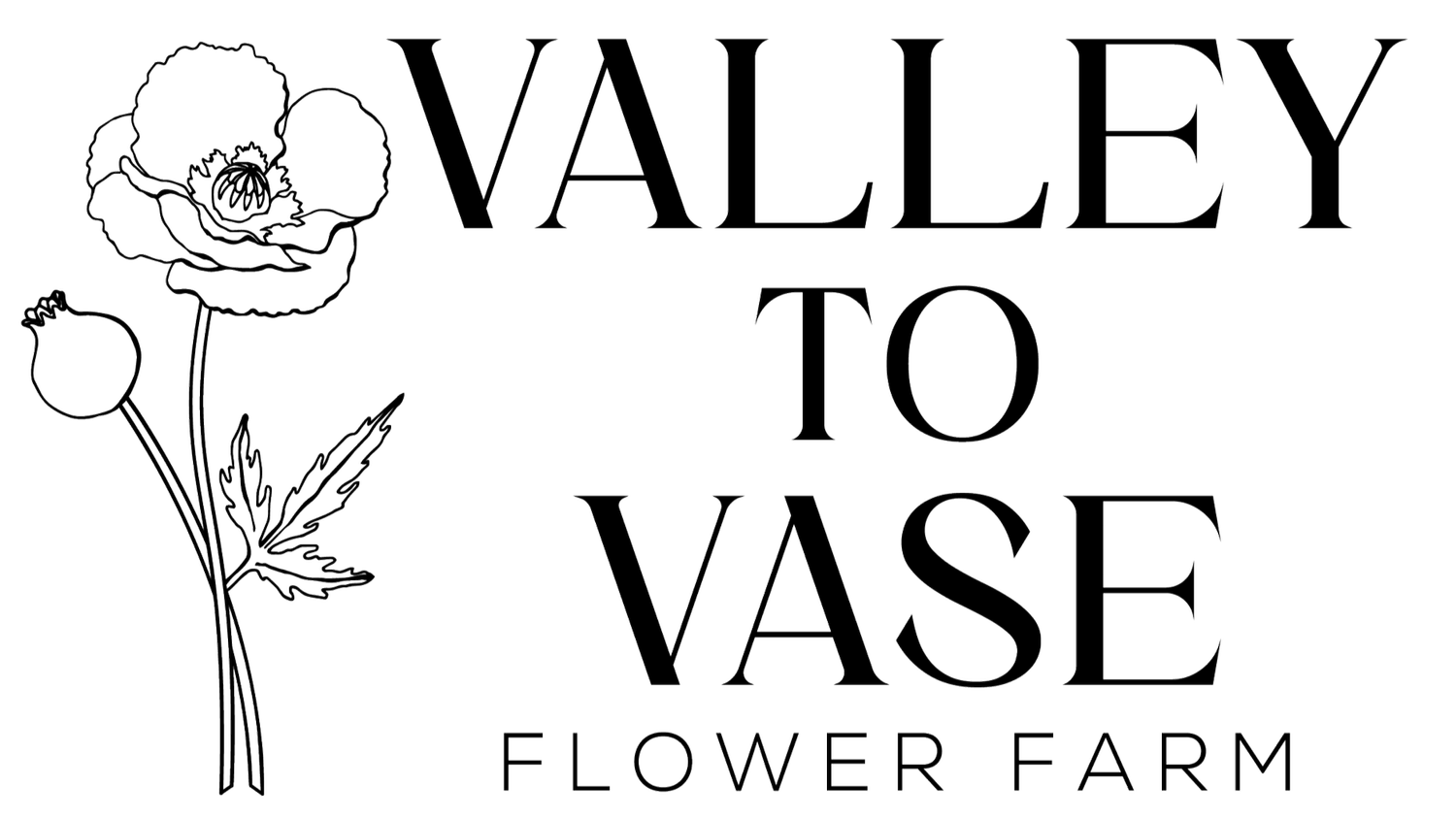 Valley to Vase