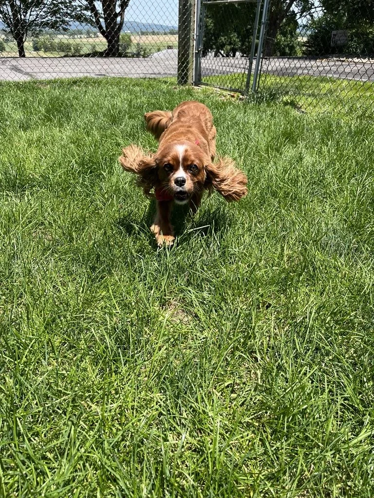 wind in my ears mr. beasley.jpg