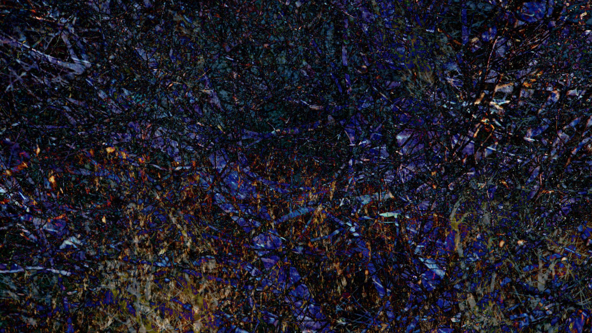 Concrescence (2017)