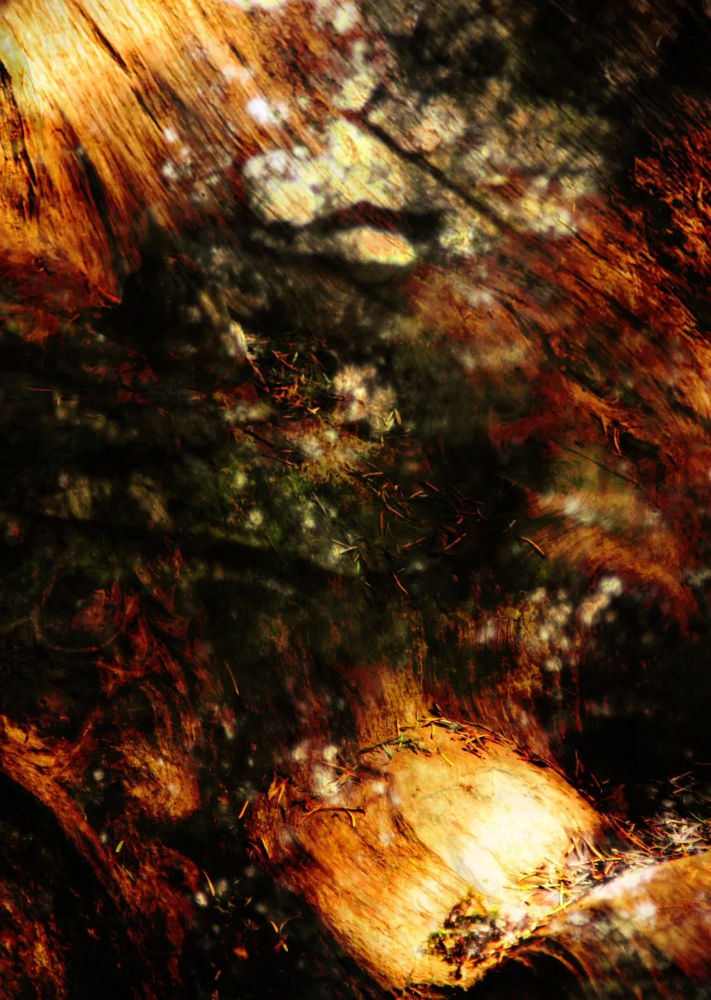 cathedralfade_comp14_08.jpg