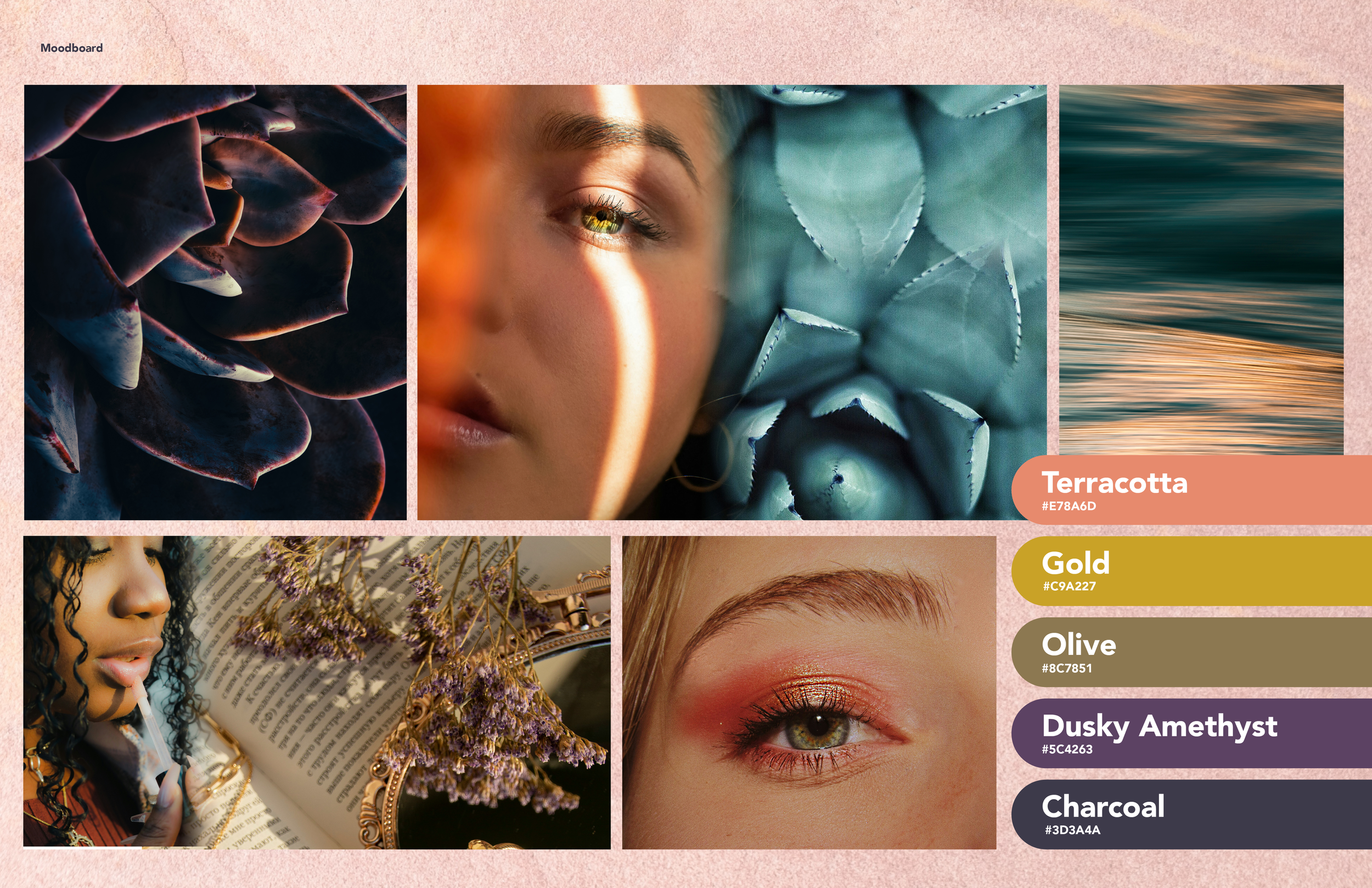 Outlash_Design_Final_0306252.png
