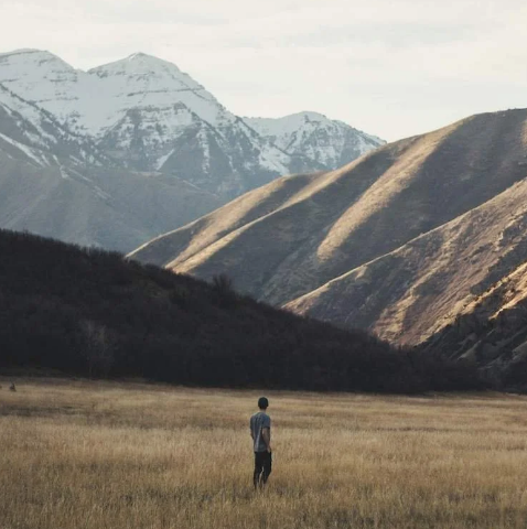 Ja, maar niet helemaal