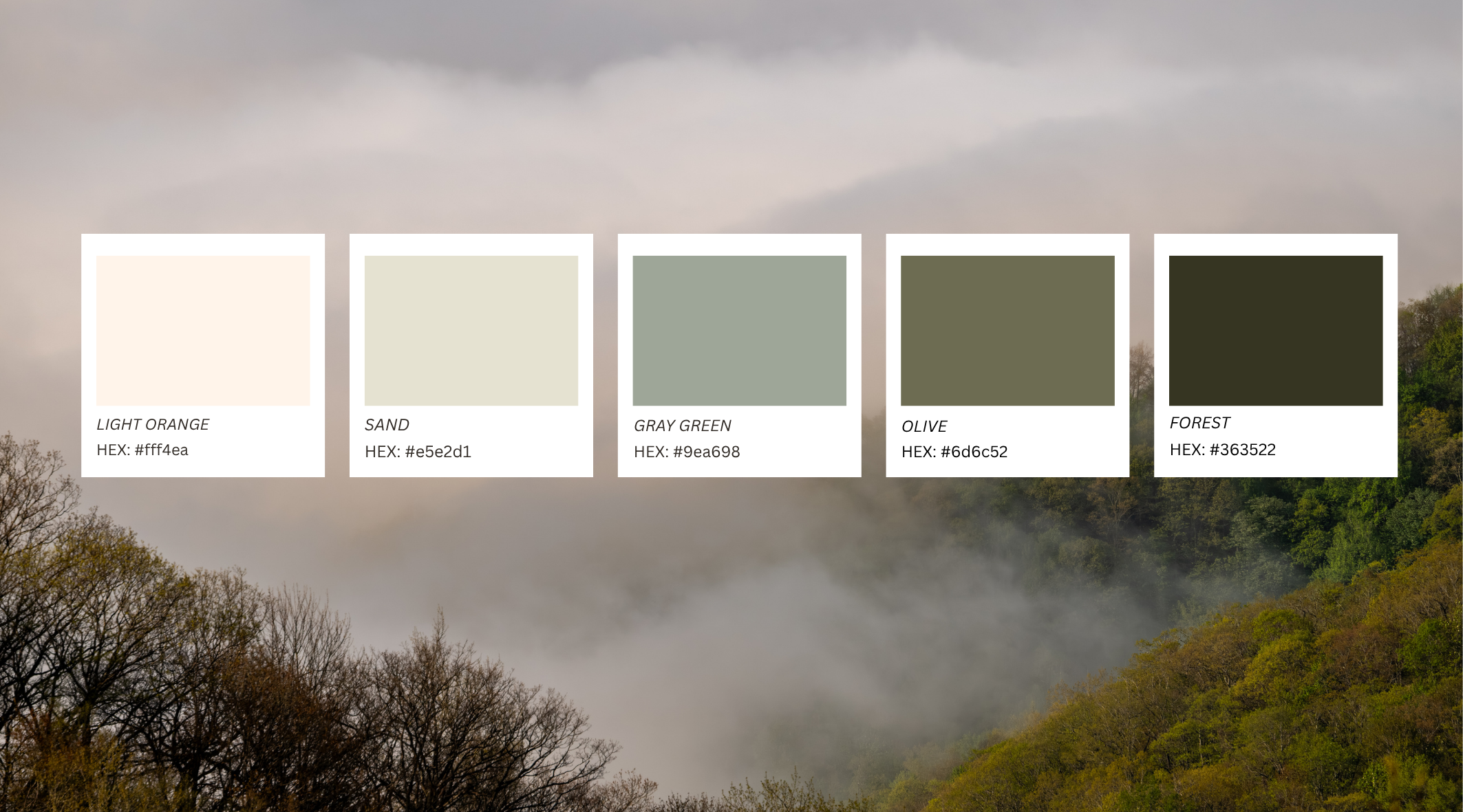 Minimalist Website Launch Computer Mockup Instagram Post (2).png