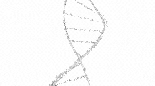 3D Render Before Compositing