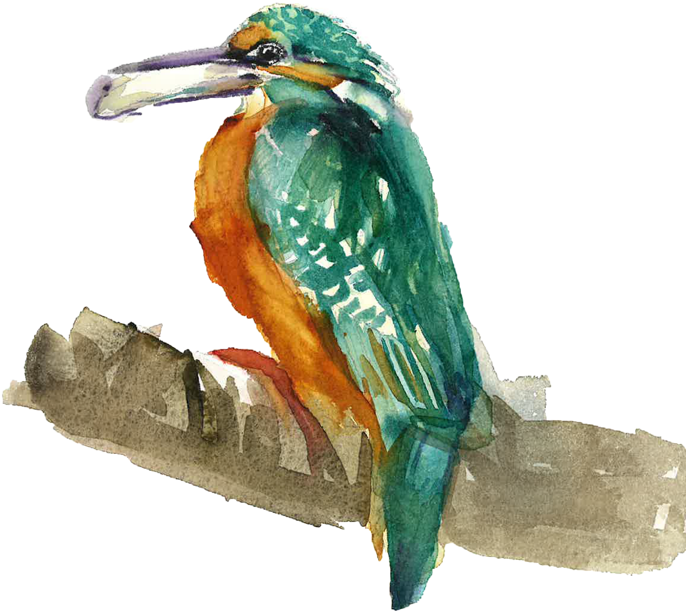 Borneo (Coming Soon)