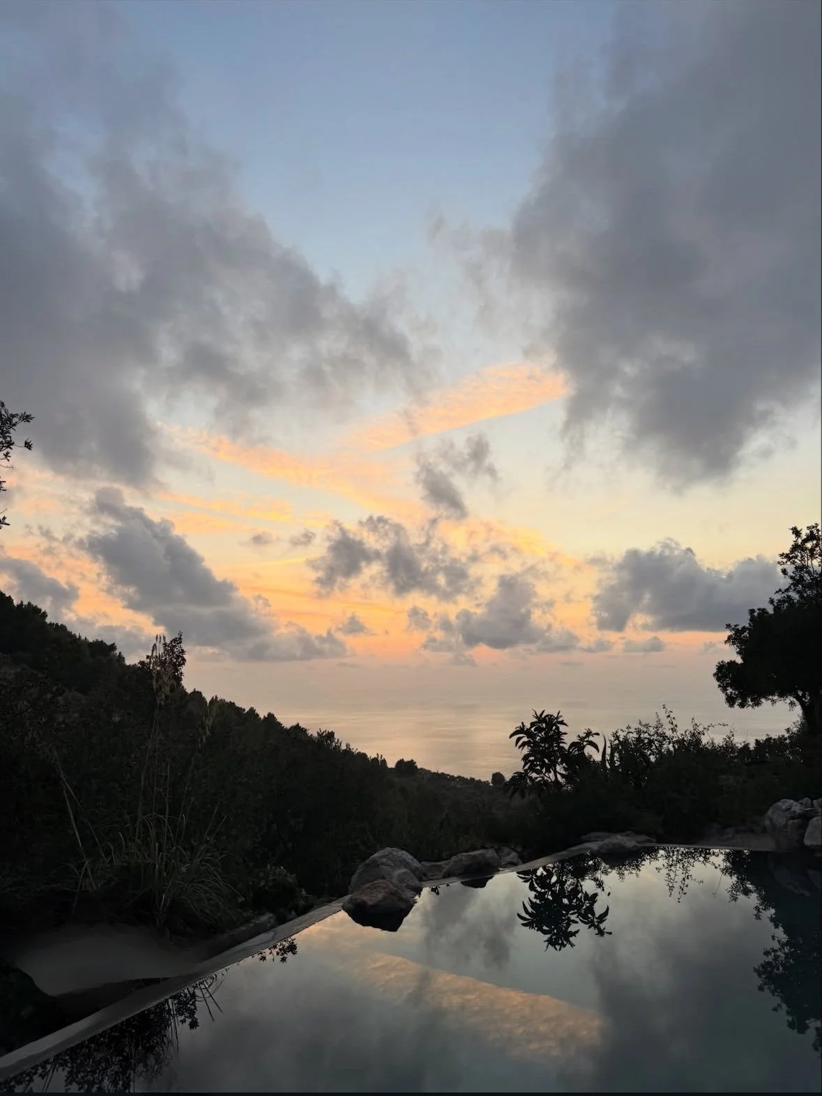 IMG_9201.jpeg