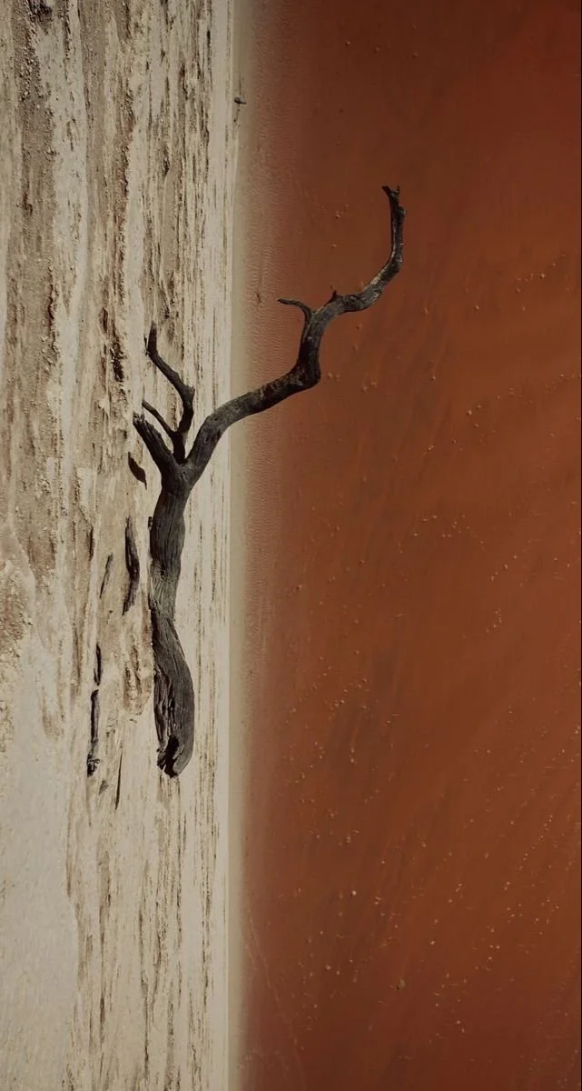 Earth-toned sound healing tools on wooden altar for voice ritual and energy alignment practice