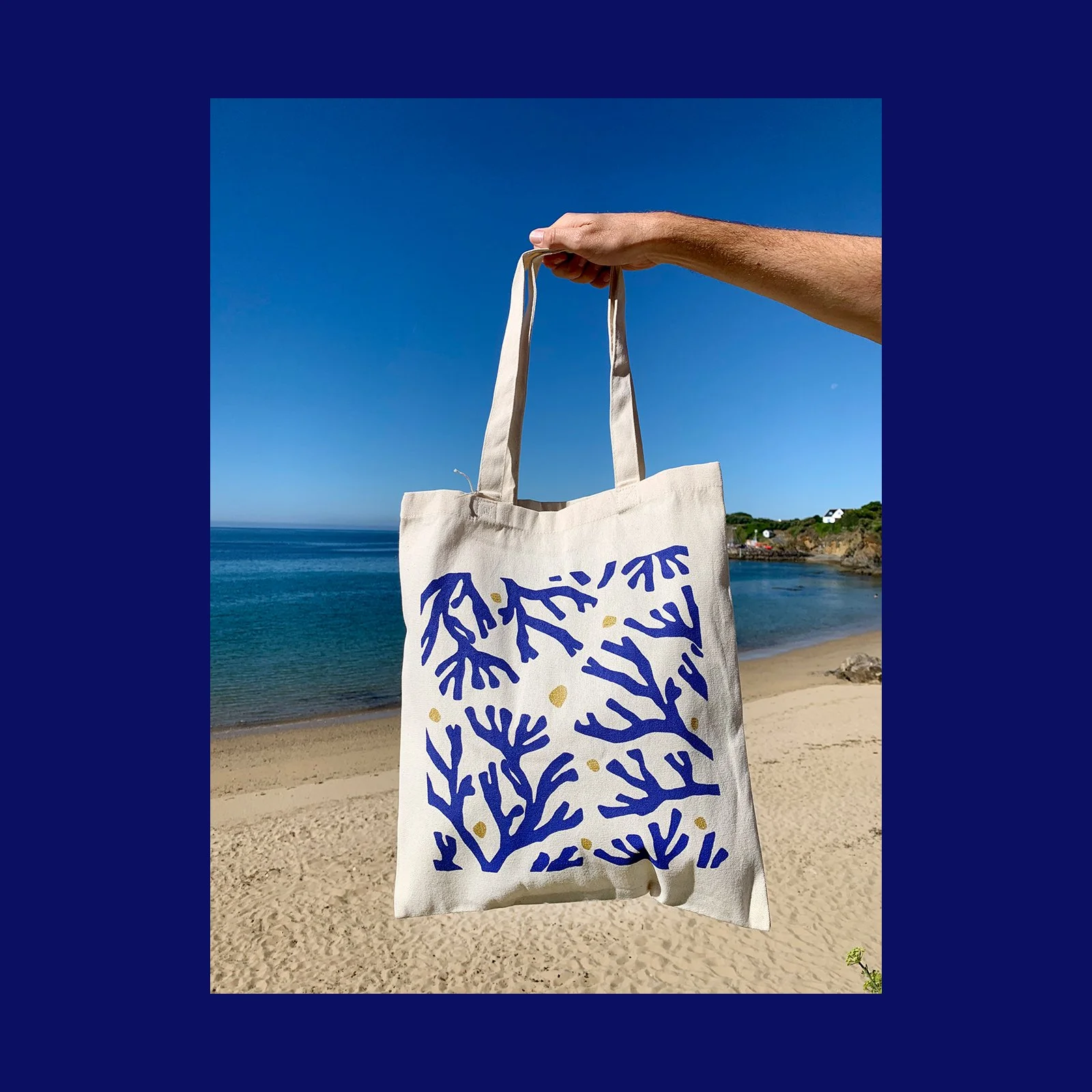 SAC_algues_bleu_or.jpg