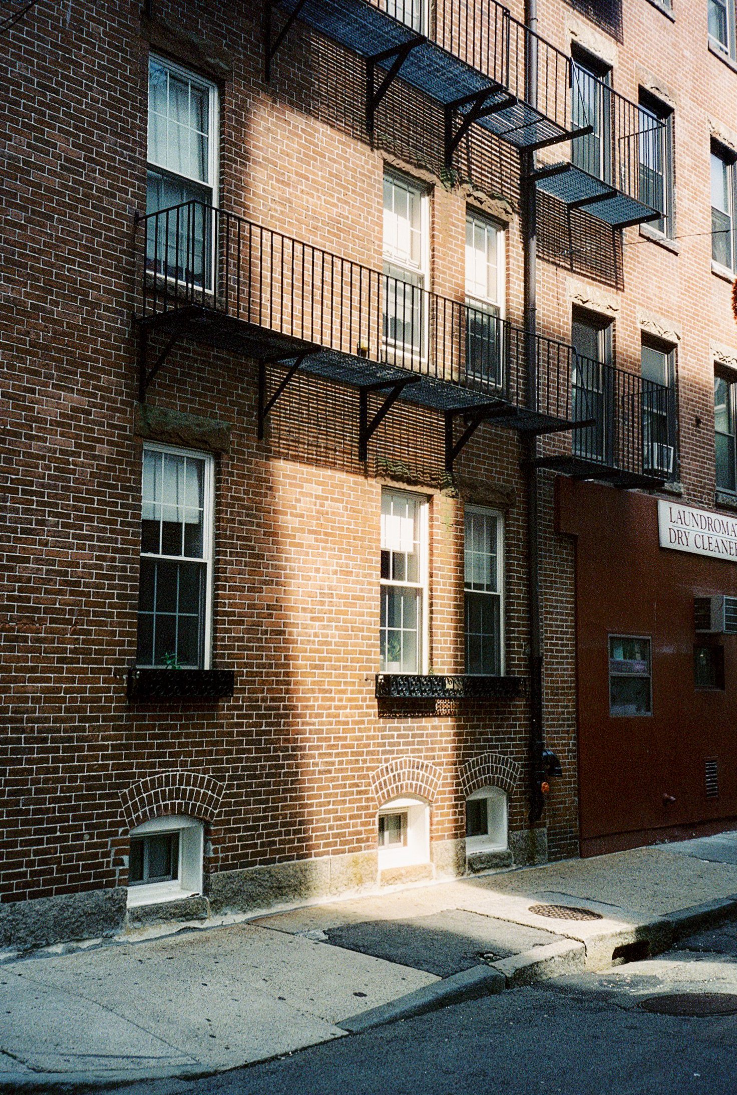 IMG_4946.jpg
