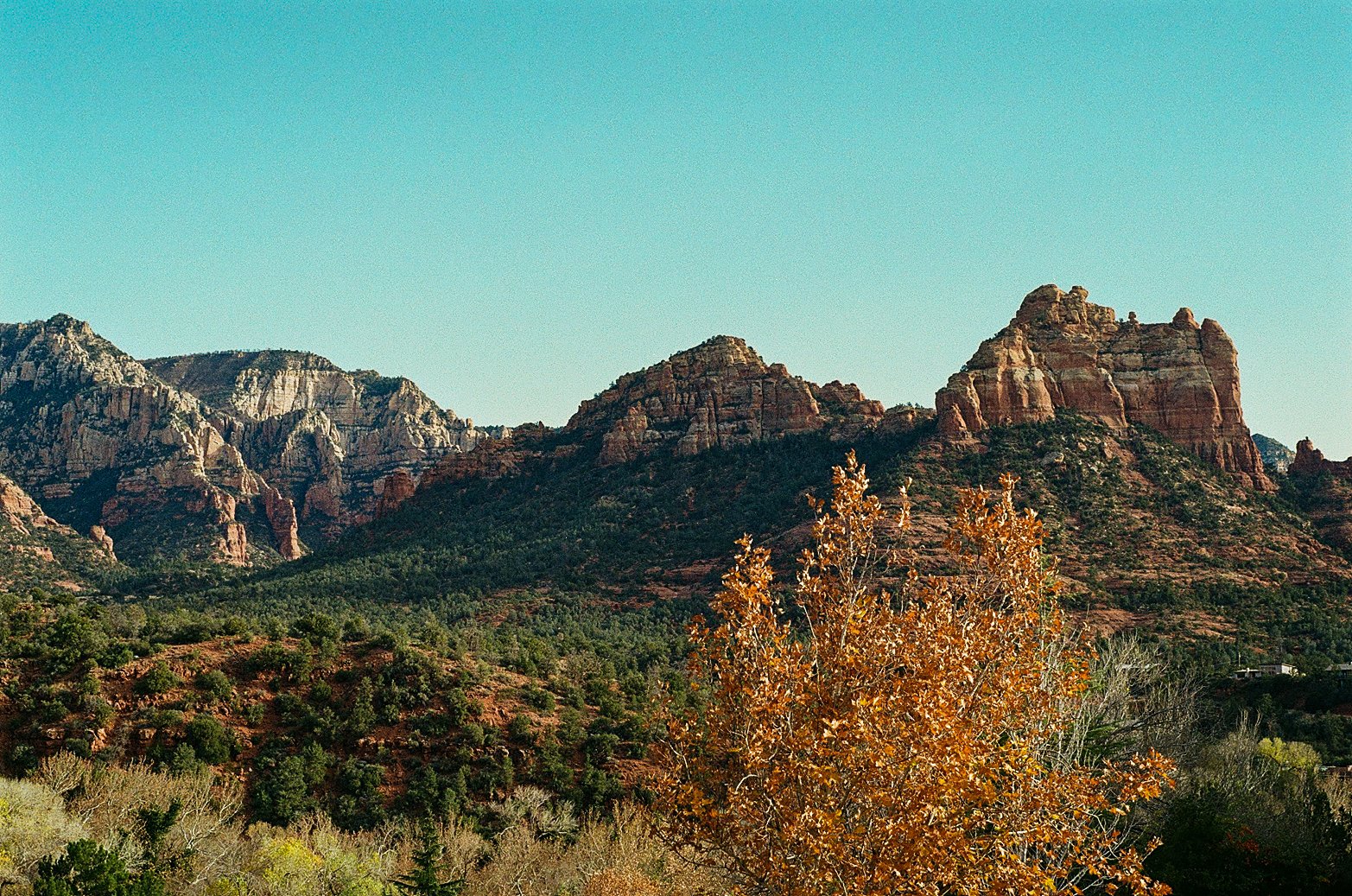 0010_9A.jpg