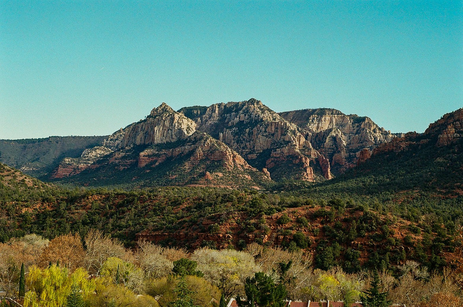 0008_7A.jpg