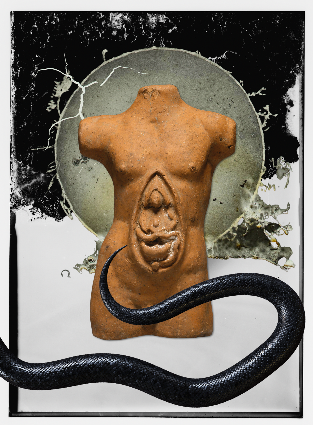 Apollo's Hydra.png