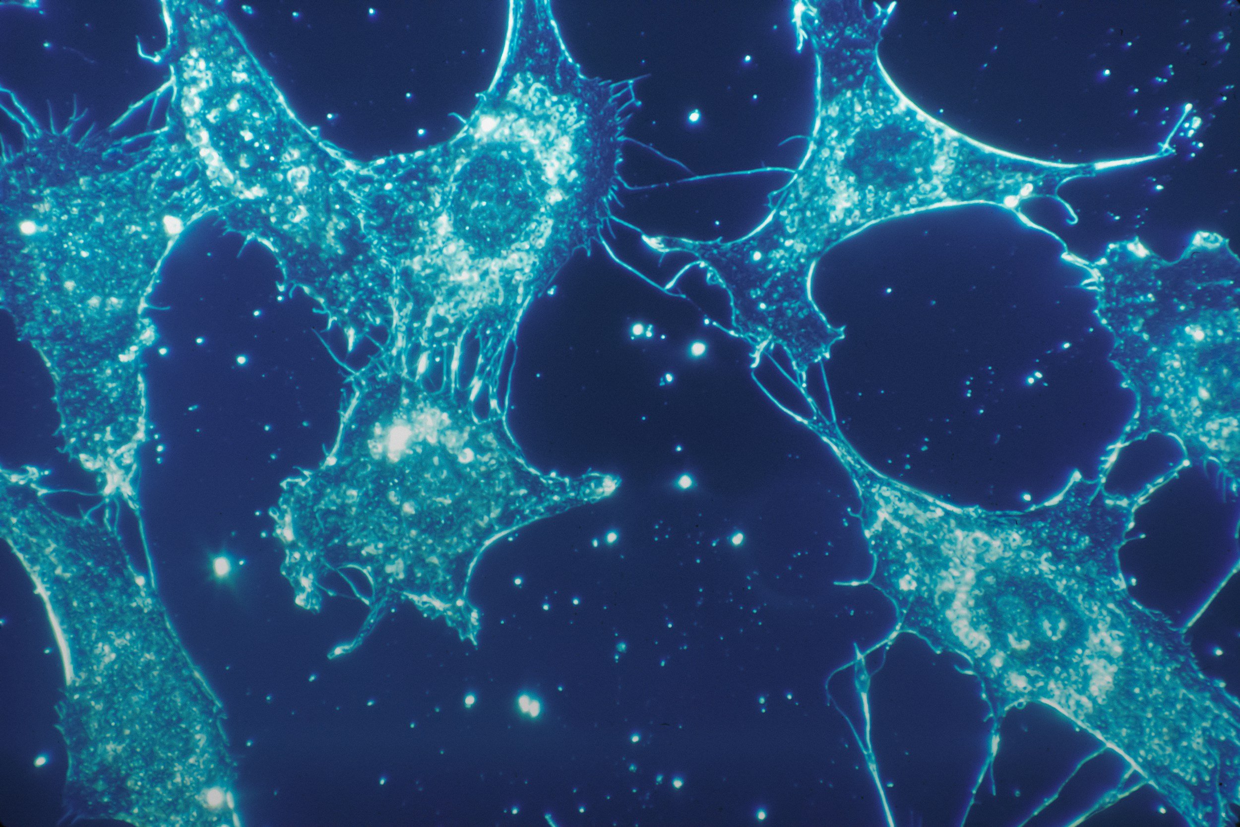 B6 Toxicity Without Supplements: What It Means and Why It Happens