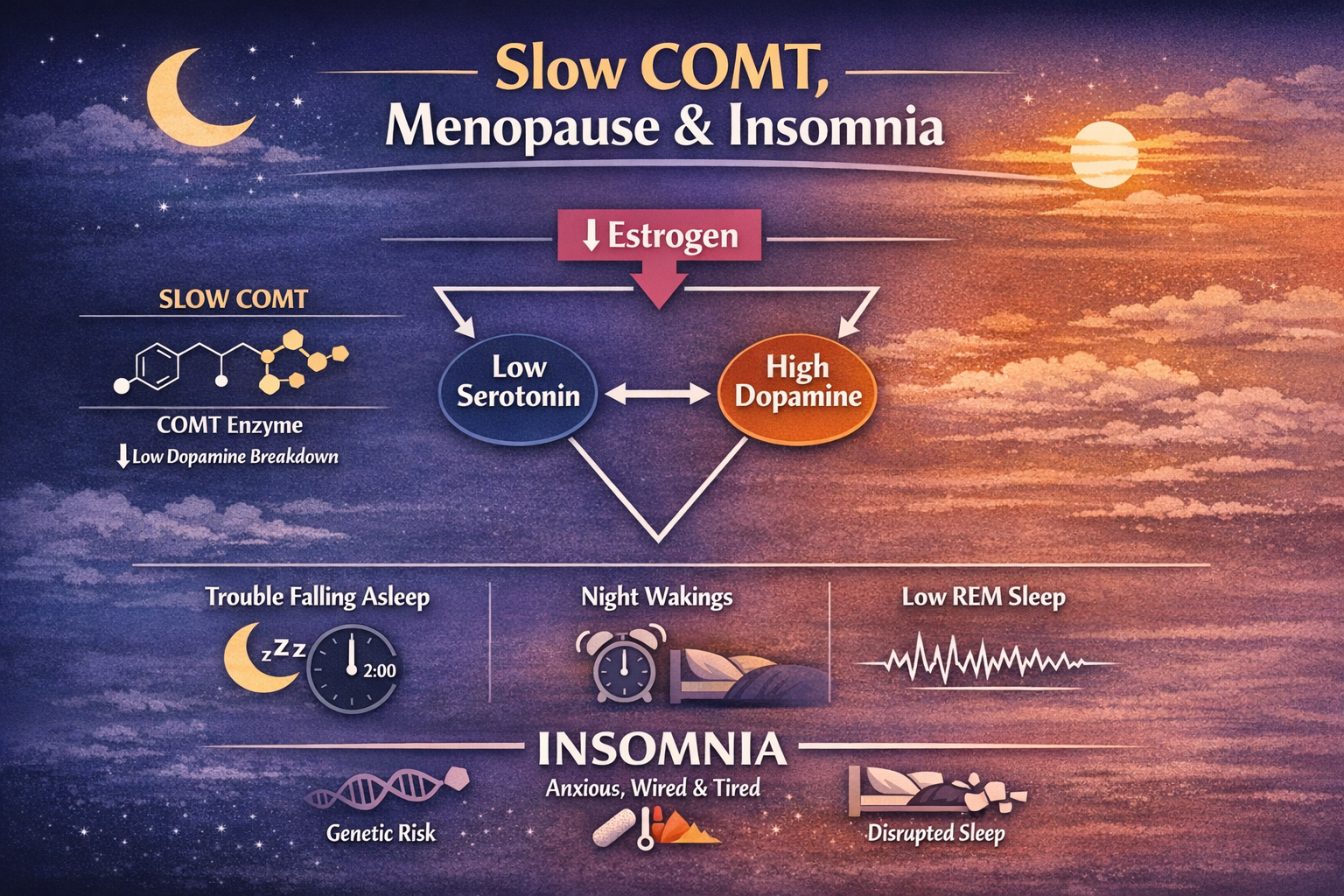 Slow COMT, Menopause, and Insomnia