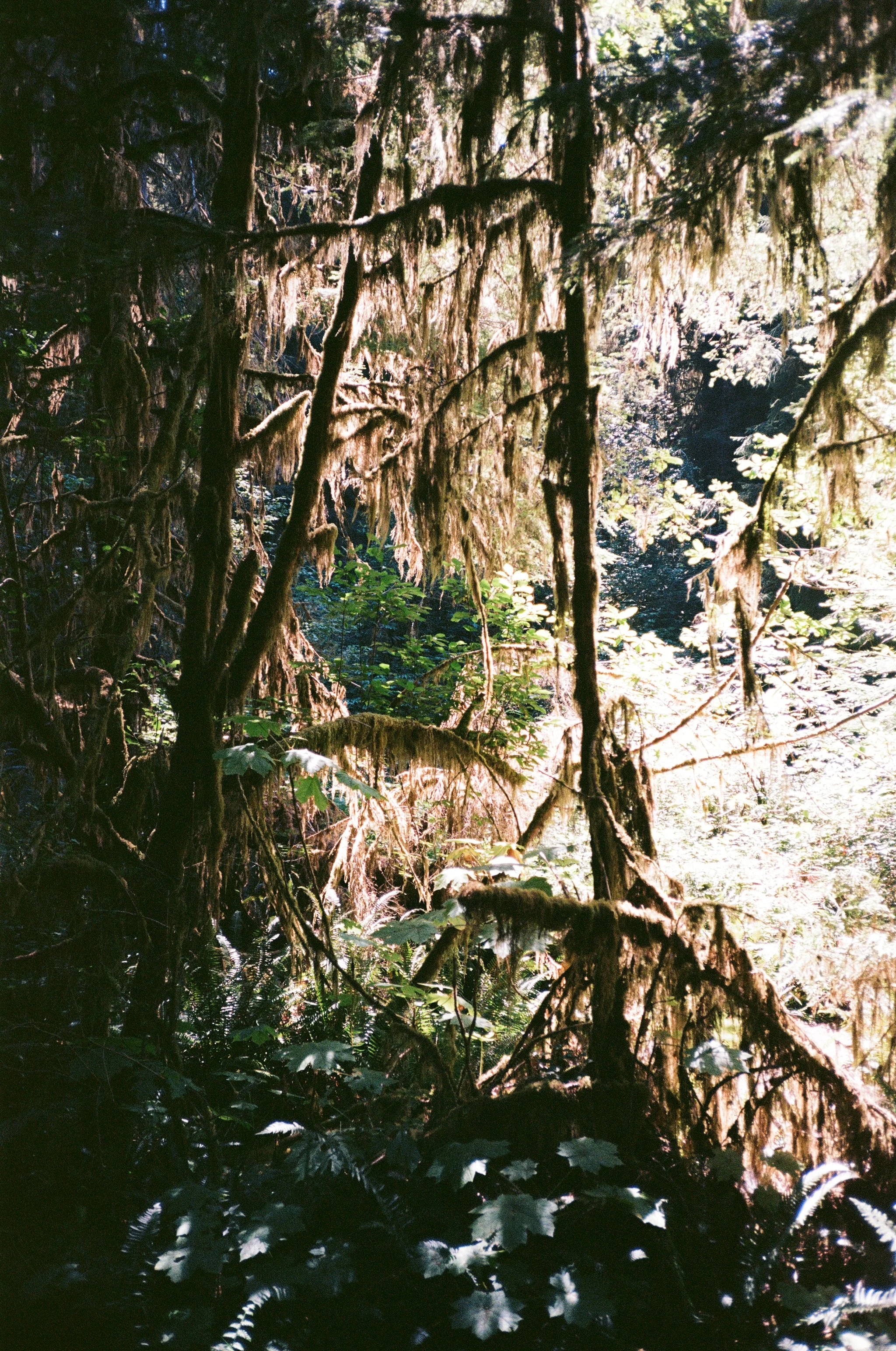 000030430025 copy.jpg