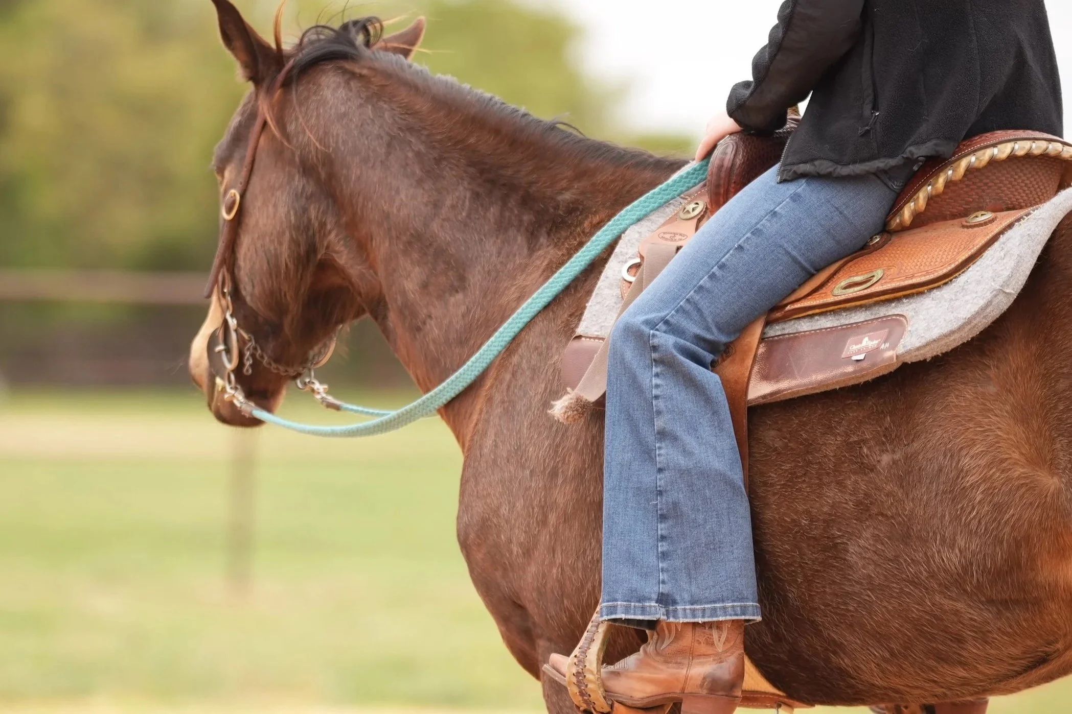 horse riding lesson