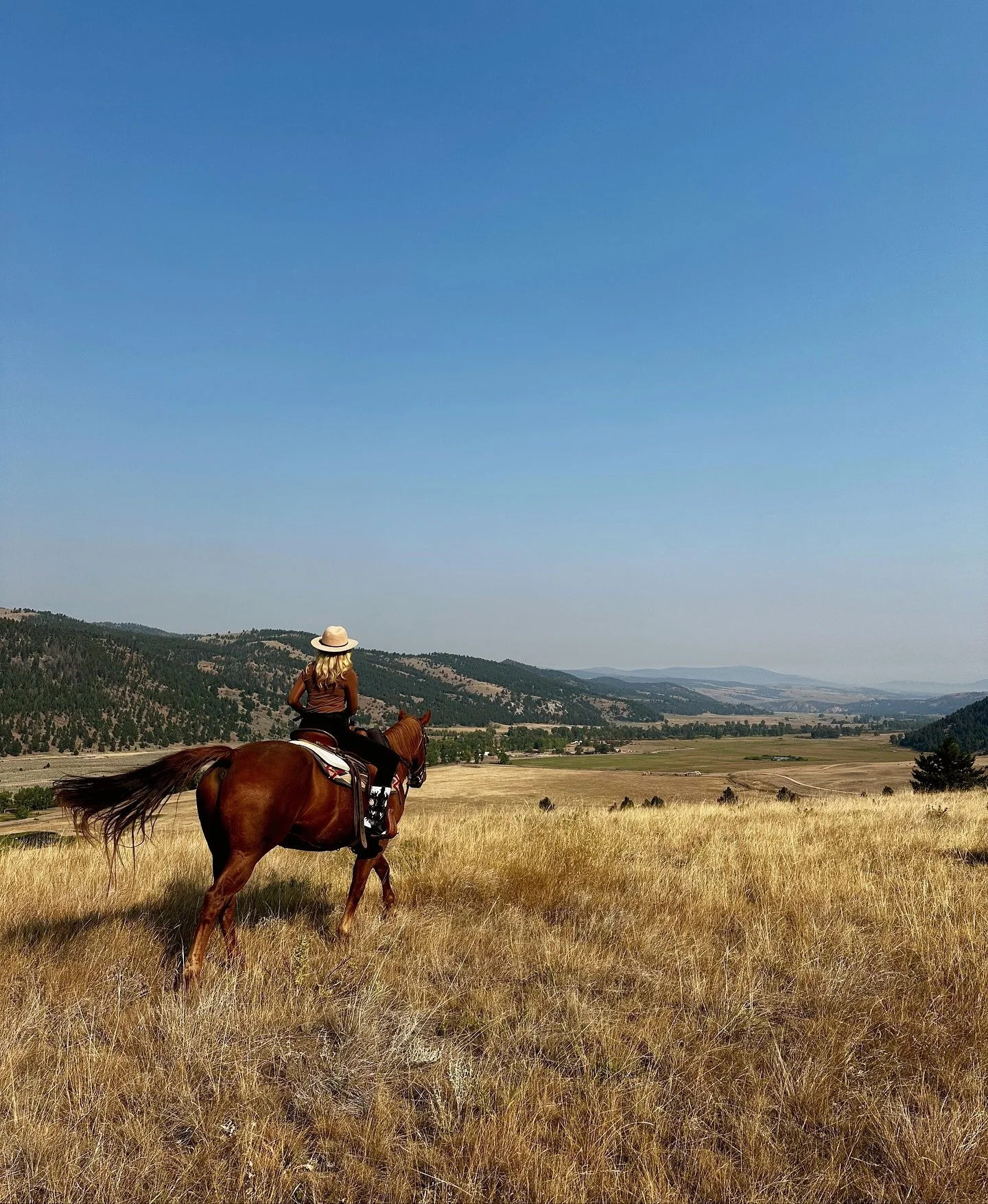 Join us next week in celebrating @annie_finch_ 60th birthday while supporting a beautiful cause — saving 60 wild horses 🐴
Riding was my very first passion, and that love will always live inside me. I’m honored to be sharing my story, al