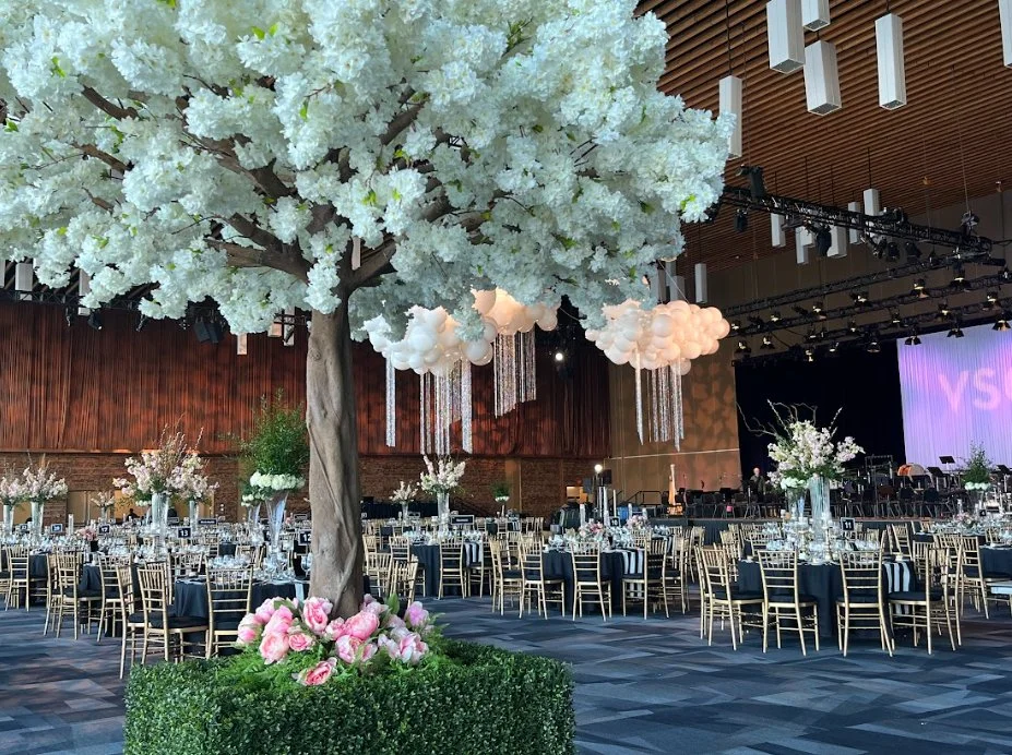 VSO Gala 2023