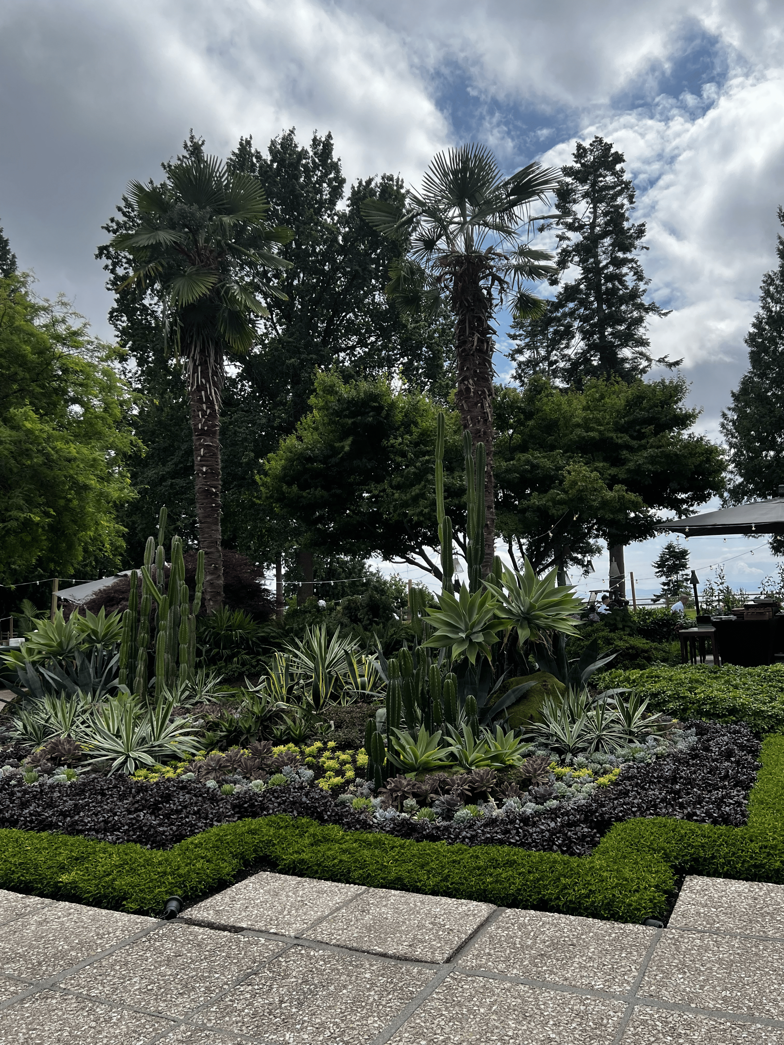 2026.07.17_Shaughnessy G&CC Summer Party_8218.png