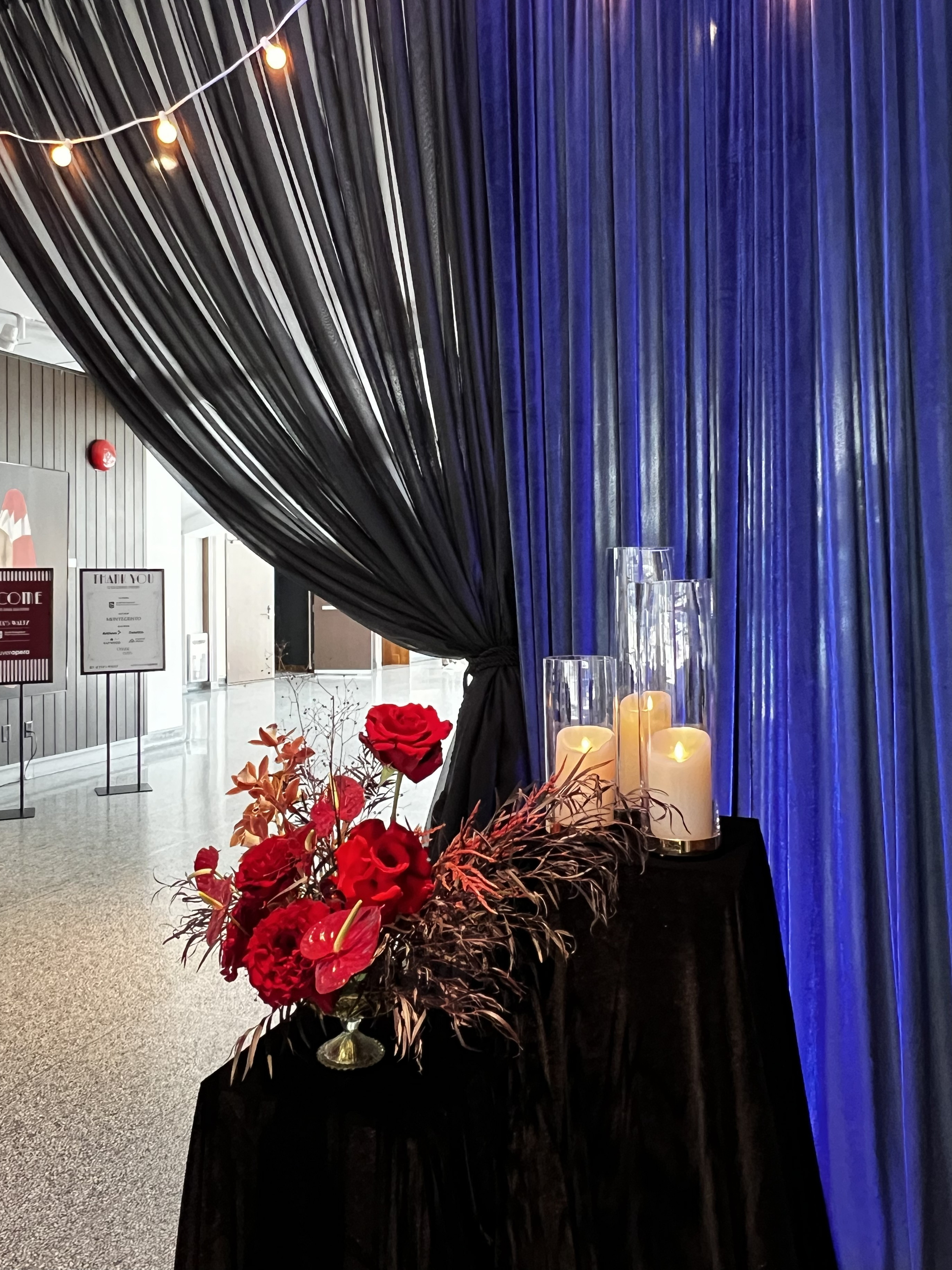 2026.05.01_Van Opera Opening_Martinas_IMG_7361_edit.PNG