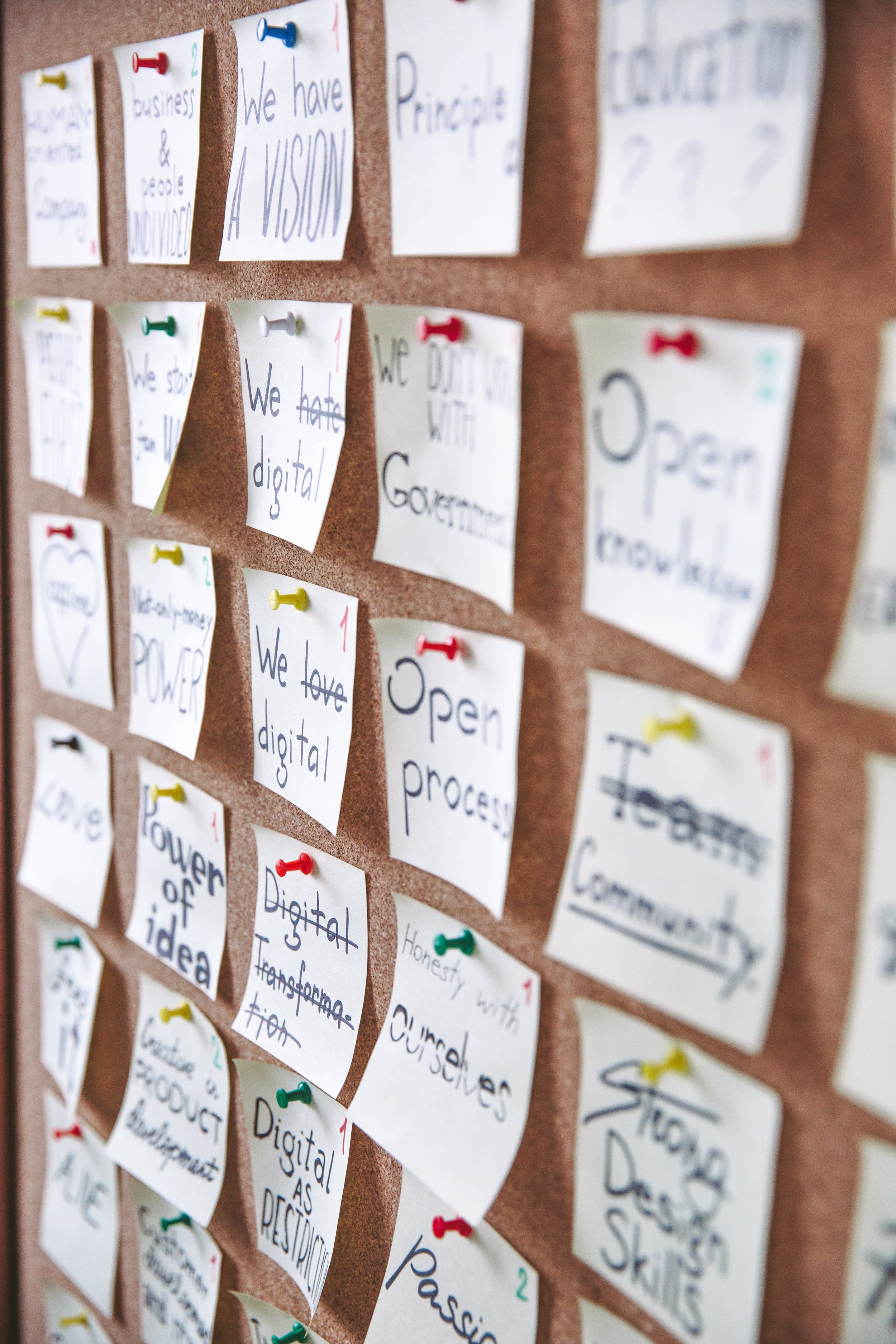 Company-wide CX principles are the foundation to resilient revenue and long-term growth