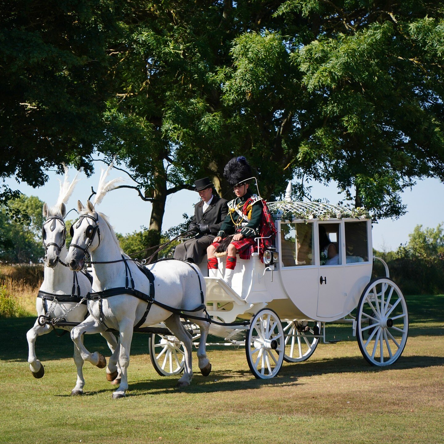 Arriving in style. Leigh &amp; Sneha arrived to the estate in a stunning white horse drawn carriage for their wedding celebrations.

📸: @buffythompsonphotography 

#horsedrawncarriage #weddingtransport #weddingvenue #weddingceremony #outsidewedding 