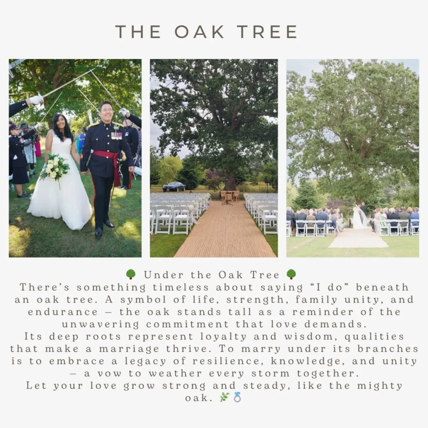 🌳&nbsp;Under the Oak Tree&nbsp;🌳&nbsp;There&rsquo;s something timeless about saying &ldquo;I do&rdquo; beneath an oak tree. A symbol of life, strength, family unity, and endurance &mdash; the oak stands tall as a reminder of the unwavering commitme