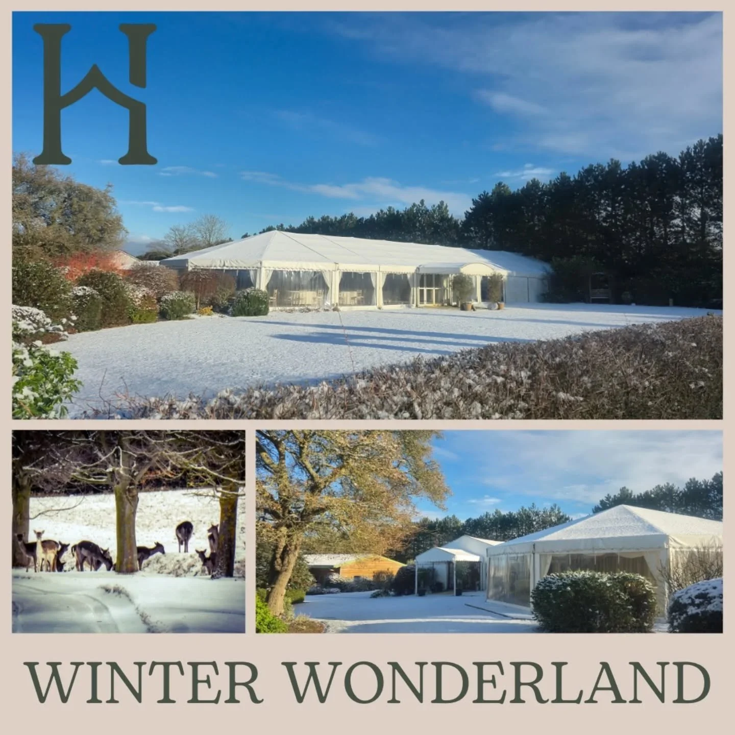 First day back after a lovely festive break spent with friends, family, far too much good food, and long dog walks in the beautiful Suffolk countryside&nbsp;🤍
And what a welcome back&hellip; the venue is looking absolutely stunning under a blanket o