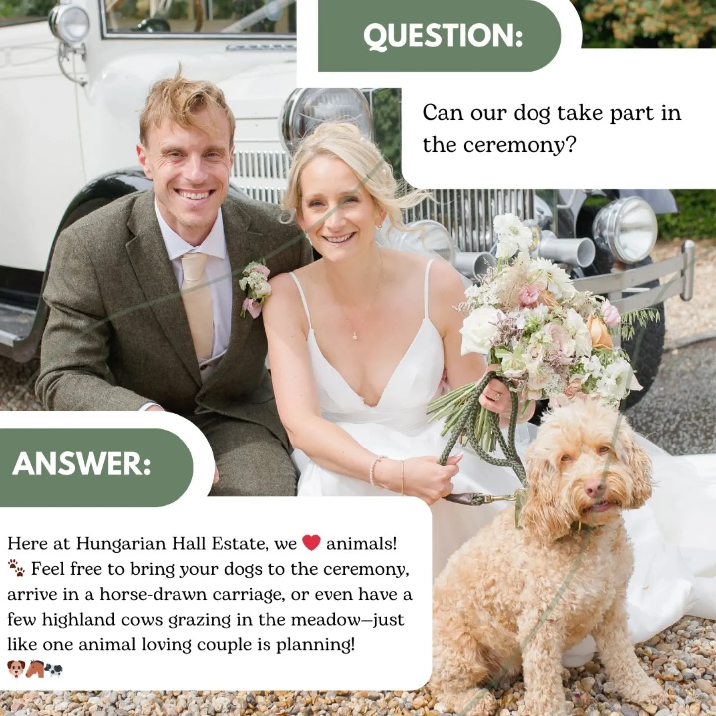 Pets are family too!&nbsp;🐾&nbsp;We&rsquo;re excited to welcome your furry friends to celebrate your big day with you. ❤️ 

&nbsp;

Tomorrow&rsquo;s question &lsquo;Can we have candlelight for our wedding?&rsquo;

📸 @clairebensonphotography

#PetFr