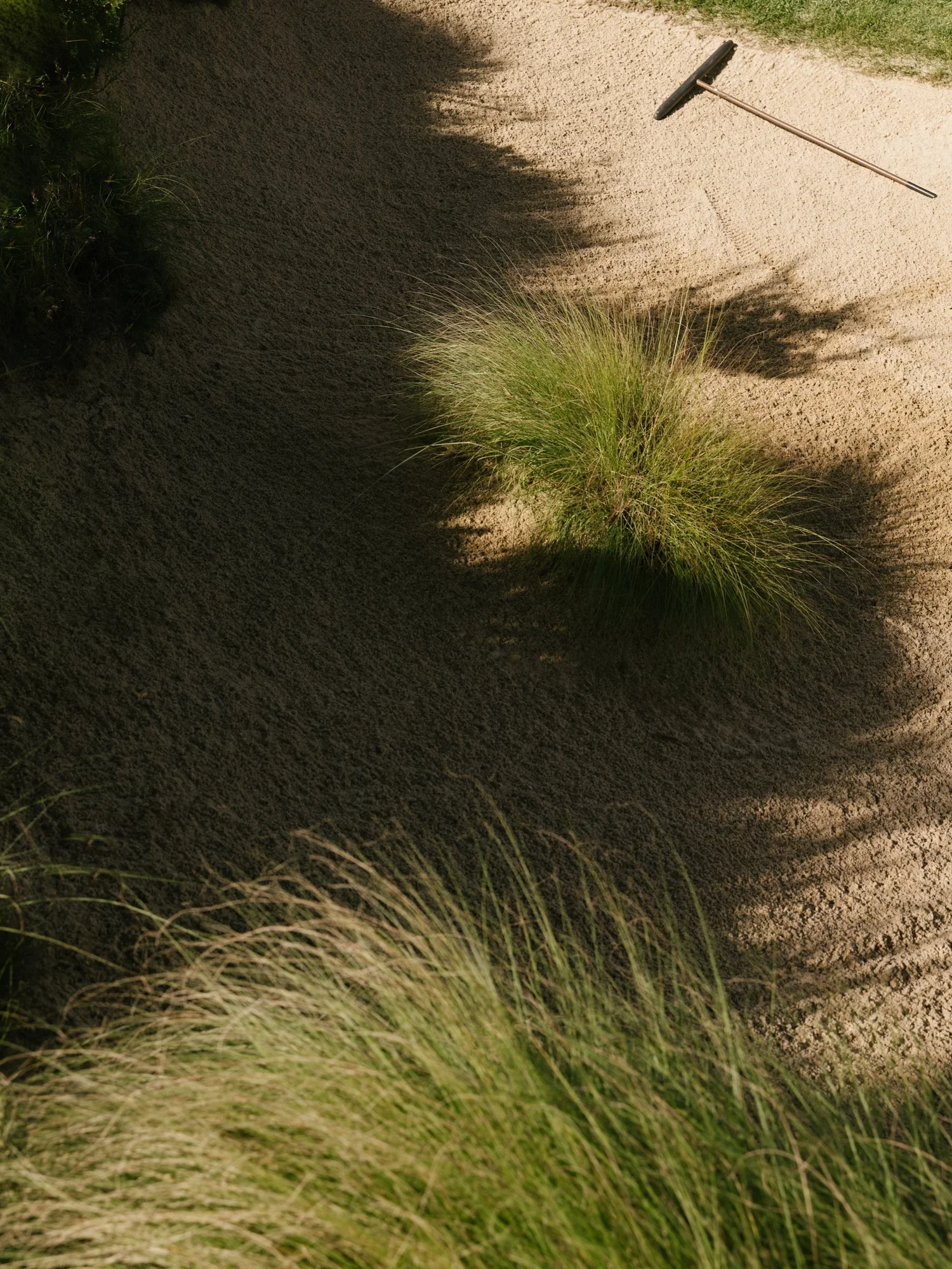 4J9A8261.jpg.webp
