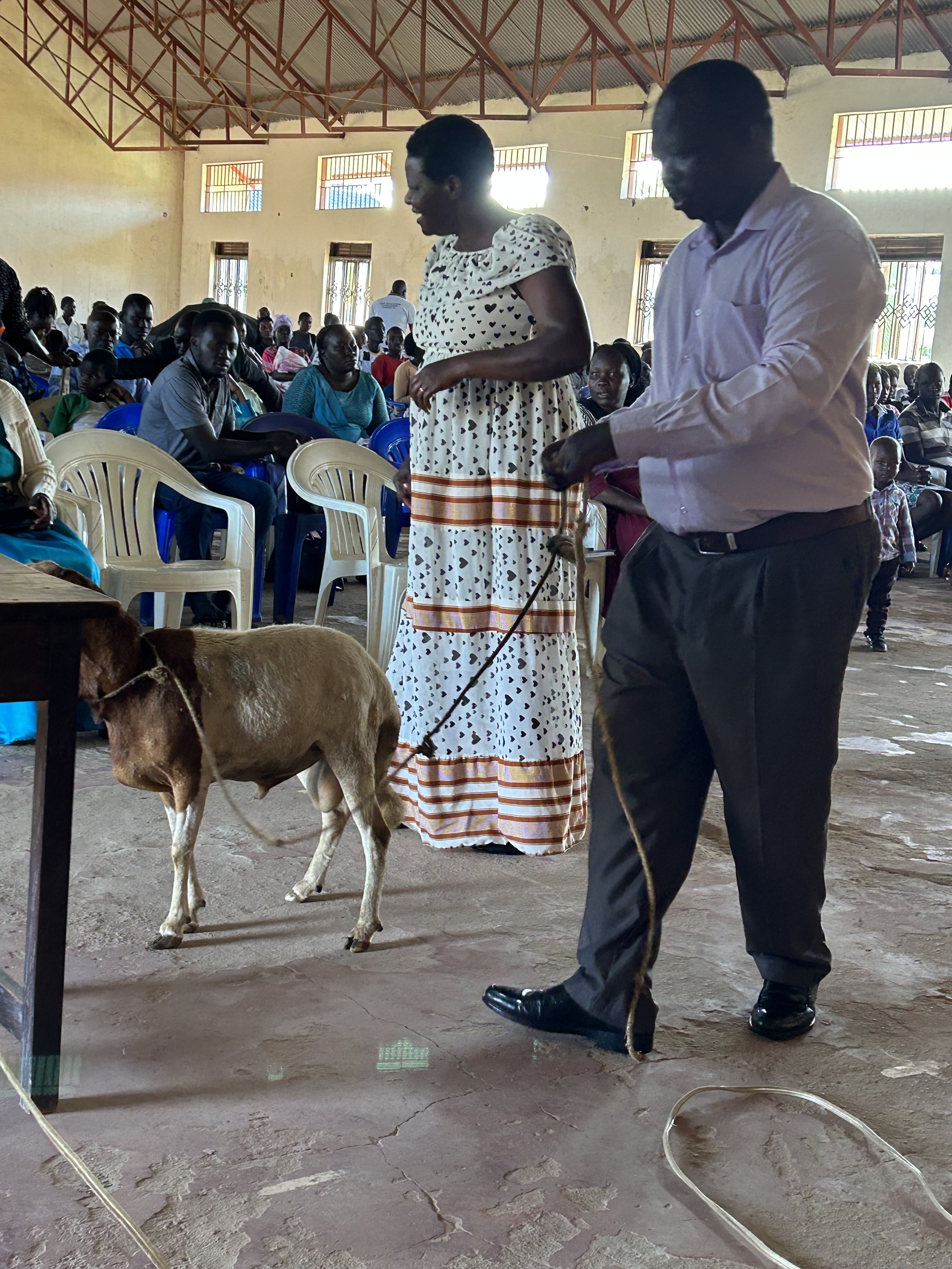 THANKSGIVING IN AFRICA: My Childhood experience