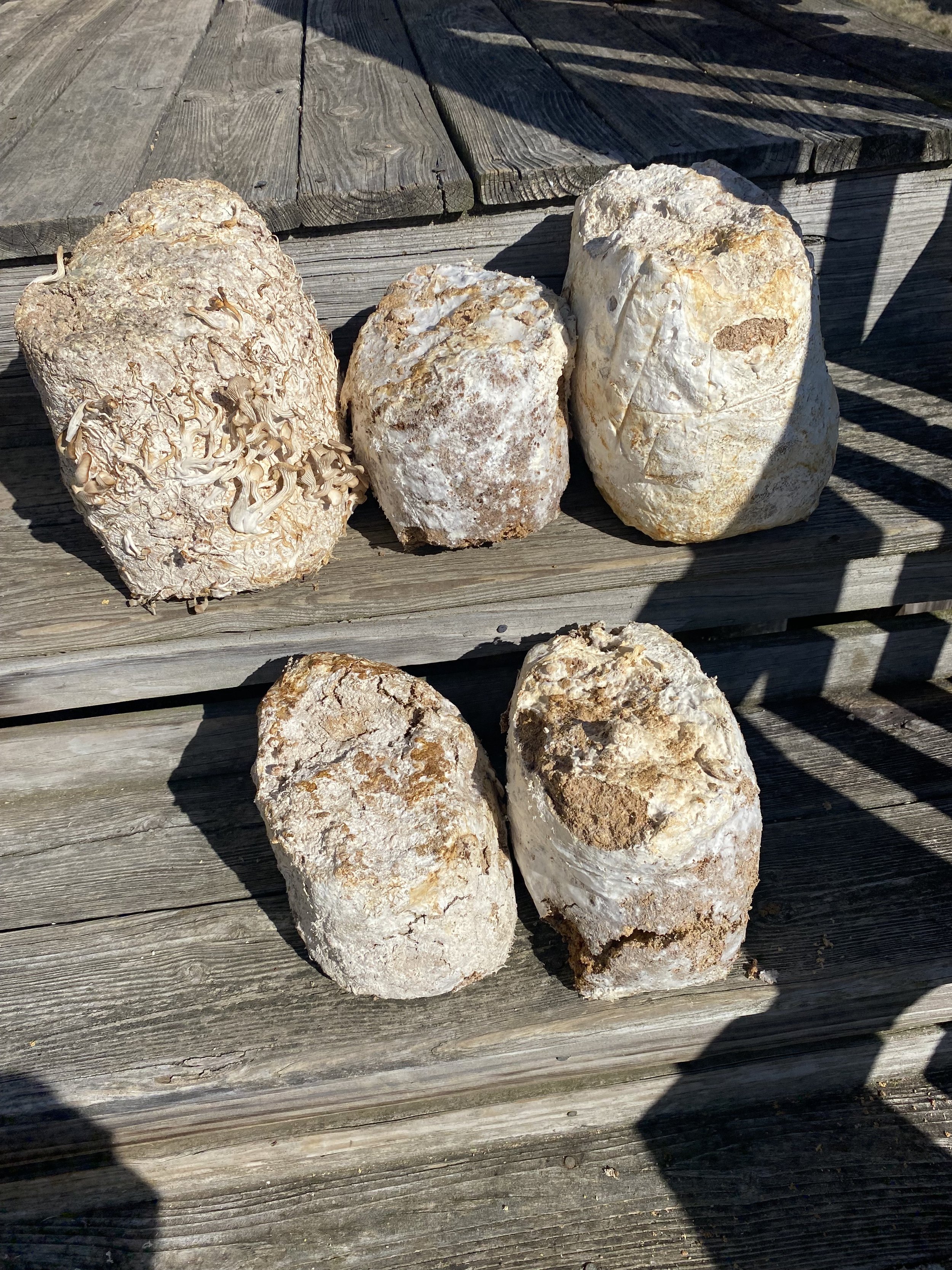 Spent Blocks