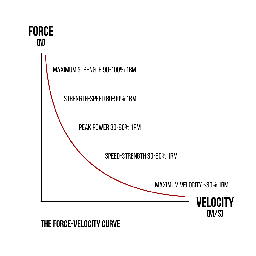 Force-Velocity Curve.png